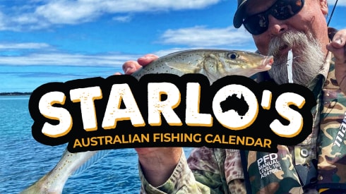 Starlo Fishing Calendar, ARTICLES, C, CONTENT