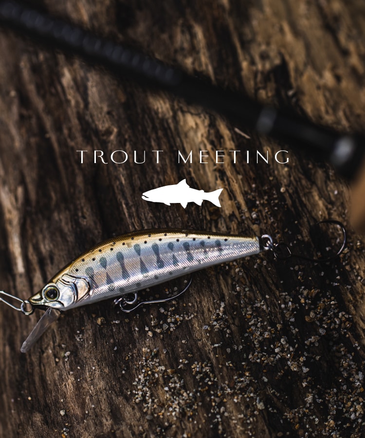 TROUT MEETING
