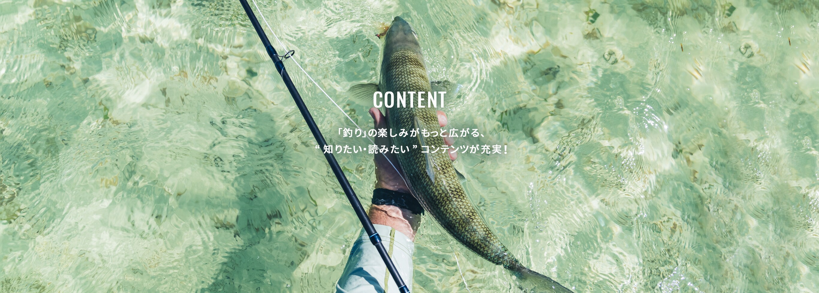 「釣り」の楽しみがもっと広がる、”知りたい・読みたい”コンテンツが充実！