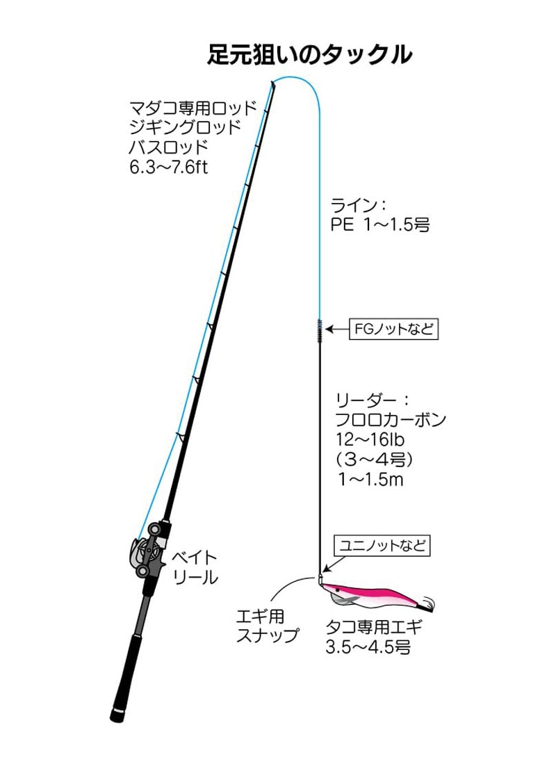 エギングに必要な道具