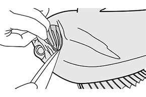 エラから刃先を入れて、中骨の下にある太い血管を切る。