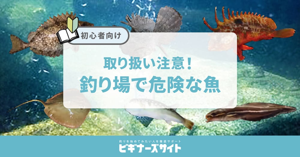 取り扱いに注意！釣り場で危険な魚