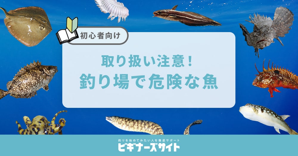 取り扱いに注意！釣り場で危険な魚