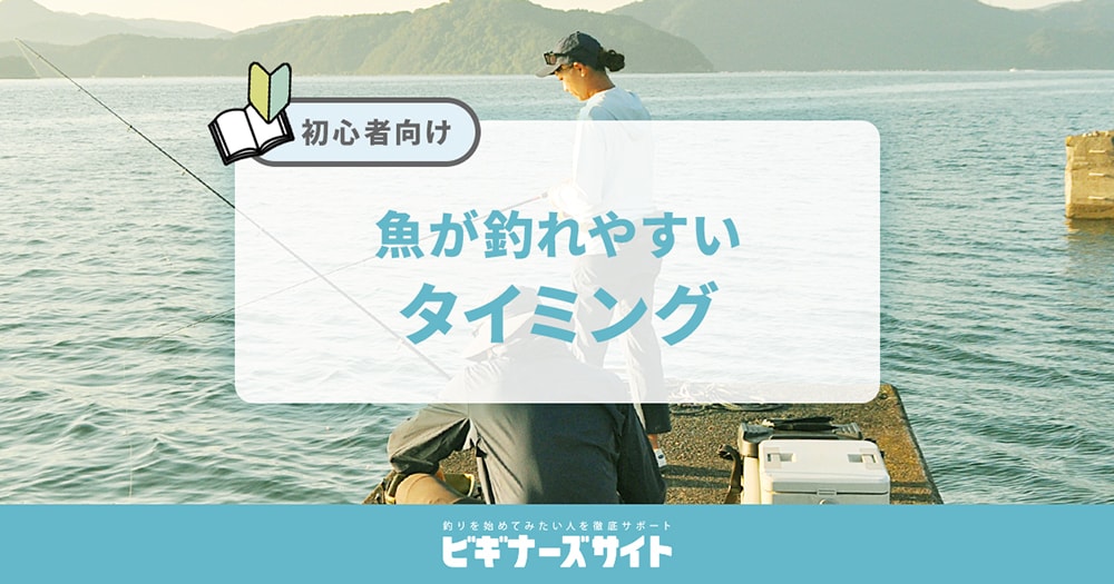 魚が釣れやすいタイミングを知ろう