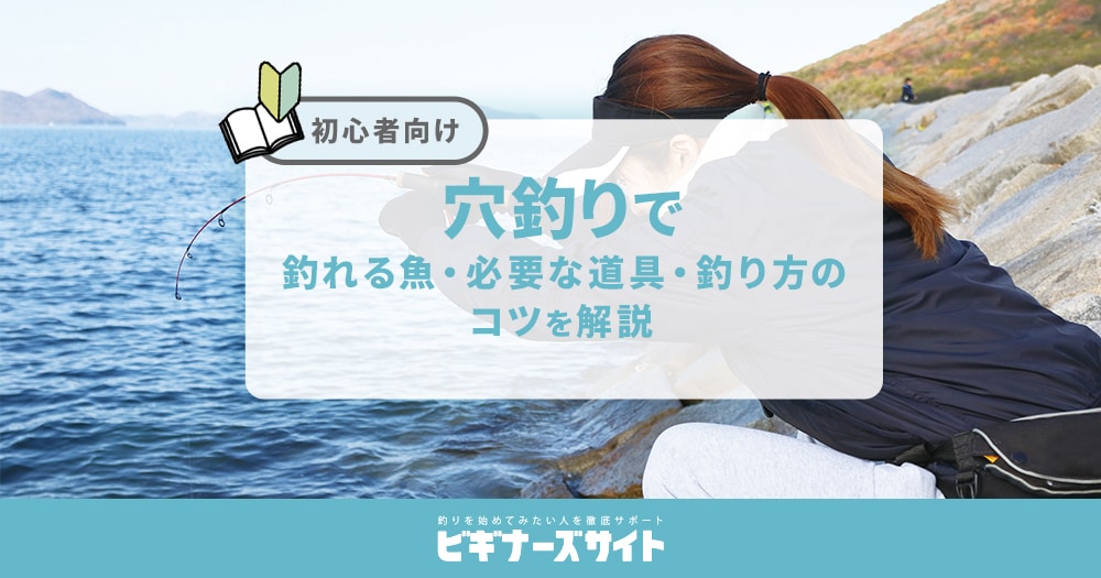 穴釣りとは？ 釣れる魚・必要な道具・仕掛け・釣り方のコツを解説【初心者向け】