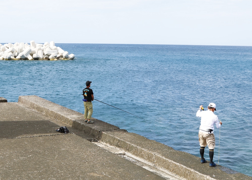 まずは足場の良い堤防や岸壁での竿出しがおすすめ。水道部に面していたり、岬の先端寄りにある港で釣ってみよう。