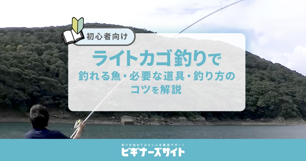 ライトカゴ釣りとは？ 釣れる魚・必要な道具・仕掛け・釣り方のコツを解説【初心者向け】