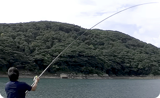 ライトカゴ釣り