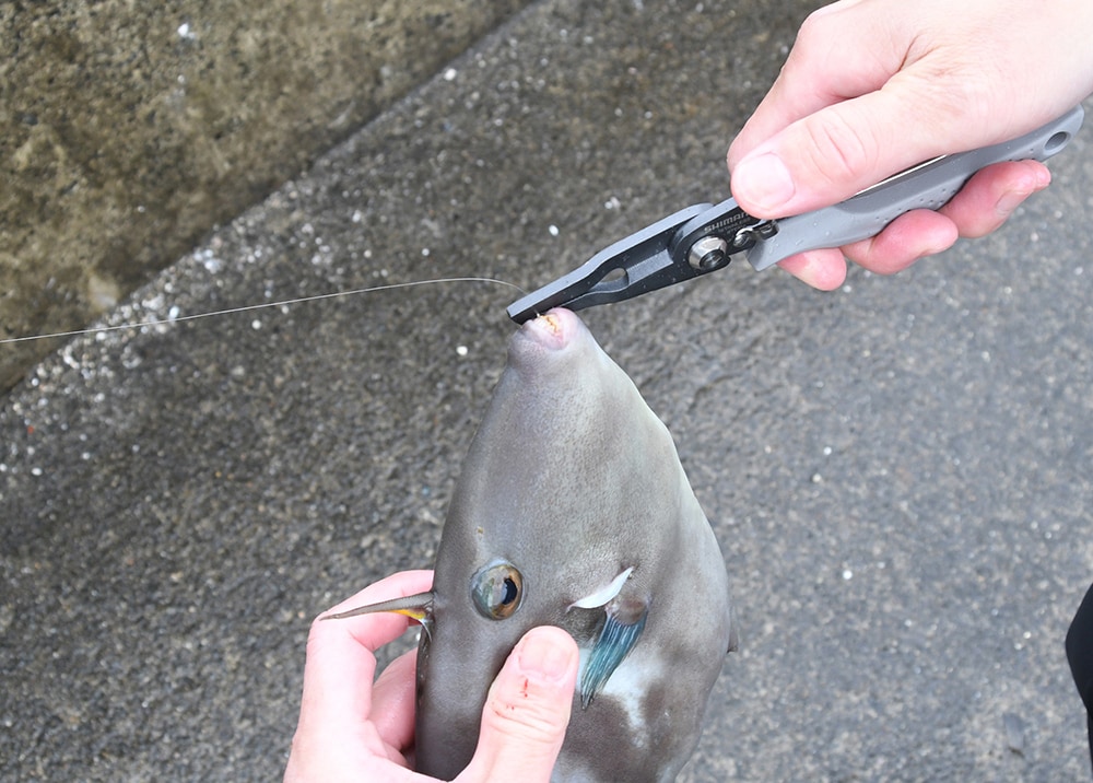 さまざまなシーンでオールマイティーに使える