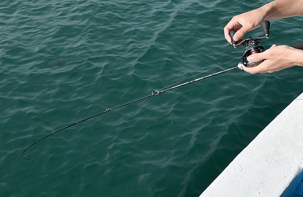 船竿。ベイトリールをセットして垂直方向を釣ることが多い