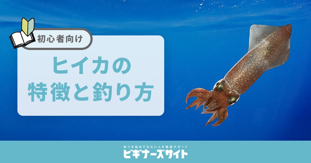 アオリイカの釣り方