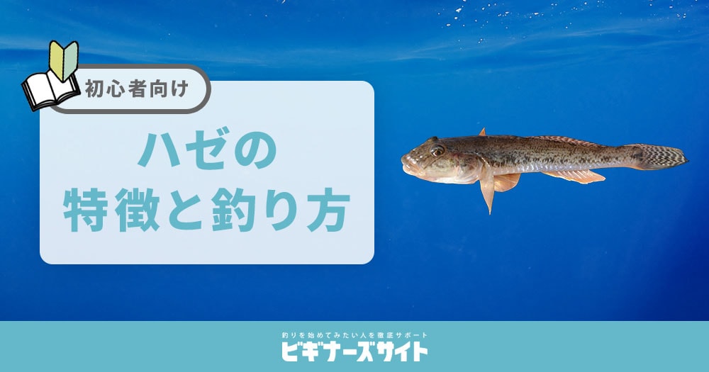 ハゼの特徴と釣り方