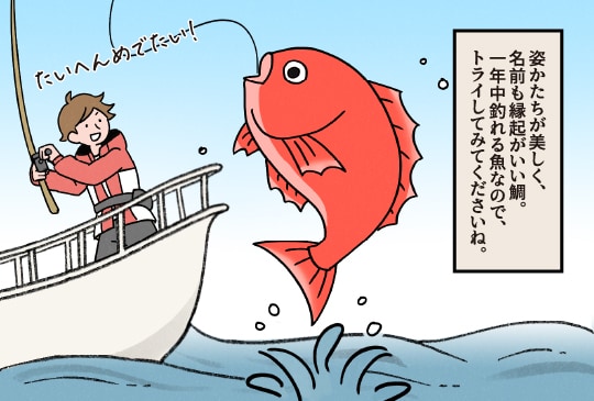 姿かたちが美しく、名前も縁起がいい鯛。一年中釣れる魚なので、トライしてみてくださいね。