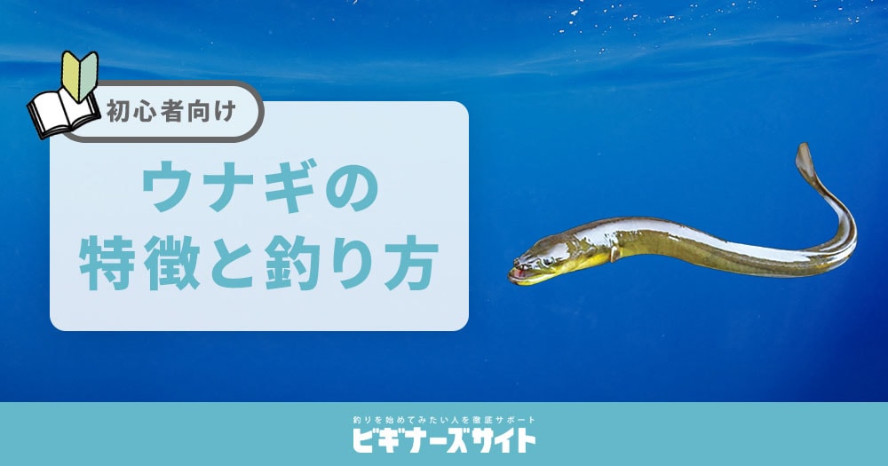 言われています。餌木が開発されたとこれをヒントに