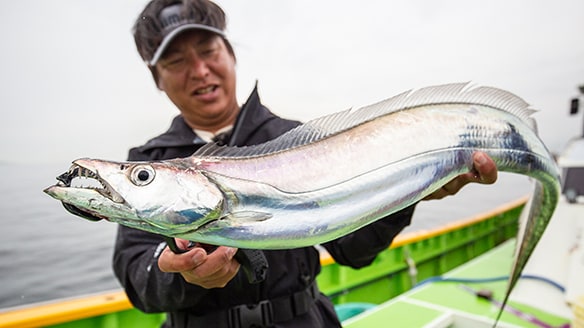 2022AWタックルで釣る！ 山本啓人の東京湾タチウオゲーム | SHIMANO シマノ