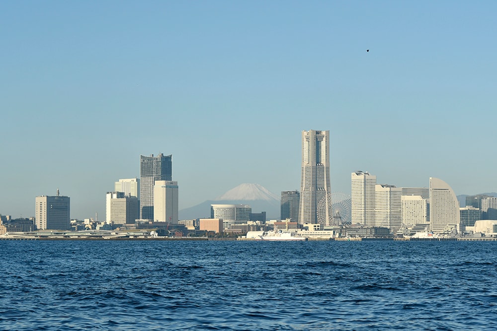 都市部の港湾部とその周辺海域はルアーフィッシングのターゲットの宝庫。特に東京湾は、アクセスの良さと魚影の濃さなど、総合的に見てインショアゲームのメッカと言える。