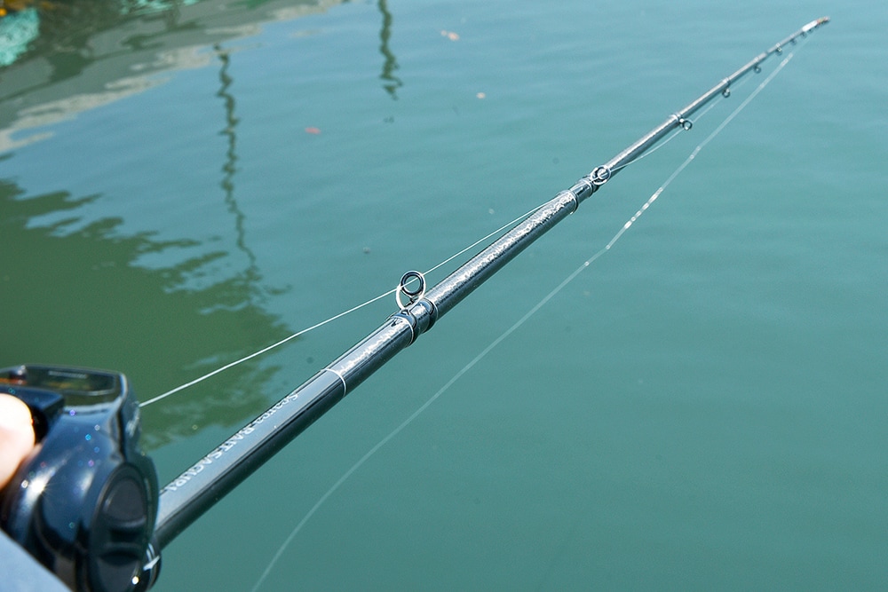 ベイトサグリ釣りでもっと楽しむ海上釣堀 | SHIMANO シマノ