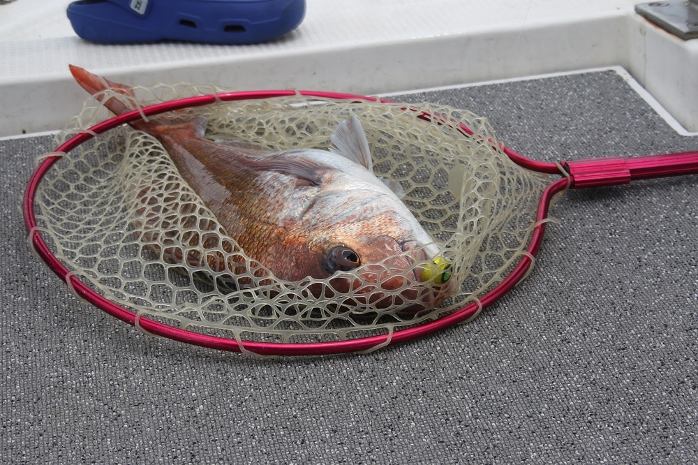 釣果はヒントではあるが、すべてではない。今回の釣果にとらわれず、状況と照らし合わせて考えることが勝つためには必要とされる。