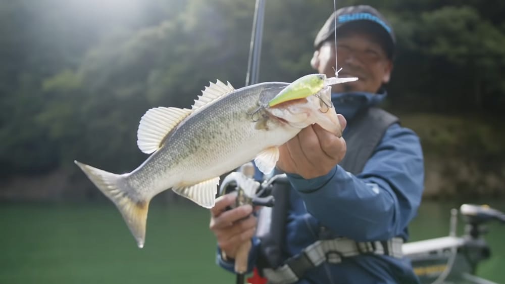 日陰と日向を意識してトレースしたクランキングで喰わせた。