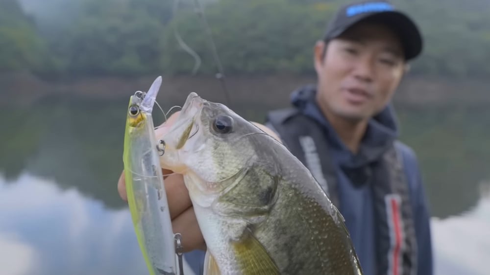 浮いてくるタイミングでバイトしてきた2本目。