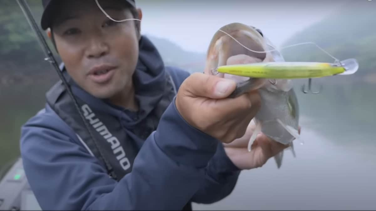 ワールドミノー115Fフラッシュブーストで高山ダムを釣る 黒田健史