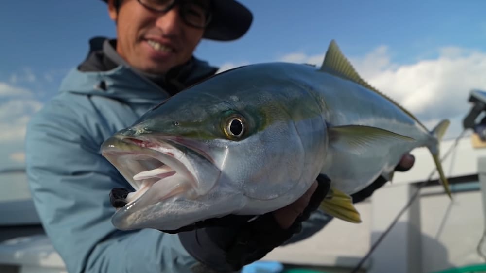 速い動きにも追従するレスポンス性能が青物を呼んだ。