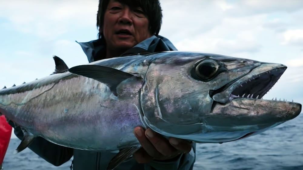 タックルが釣り人のレベルを底上げし、釣り人がタックルの性能を底上げする。