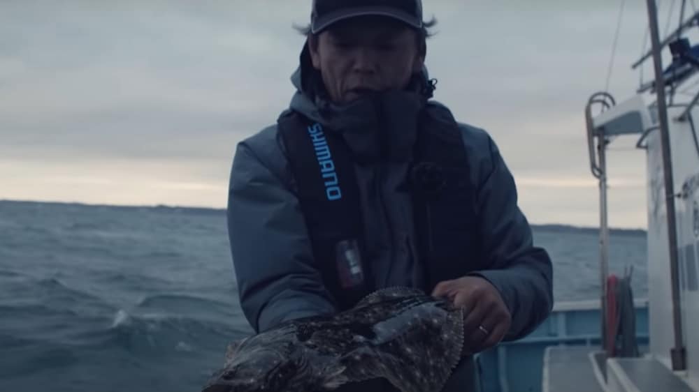 松本さんが肉厚のヒラメをキャッチ。