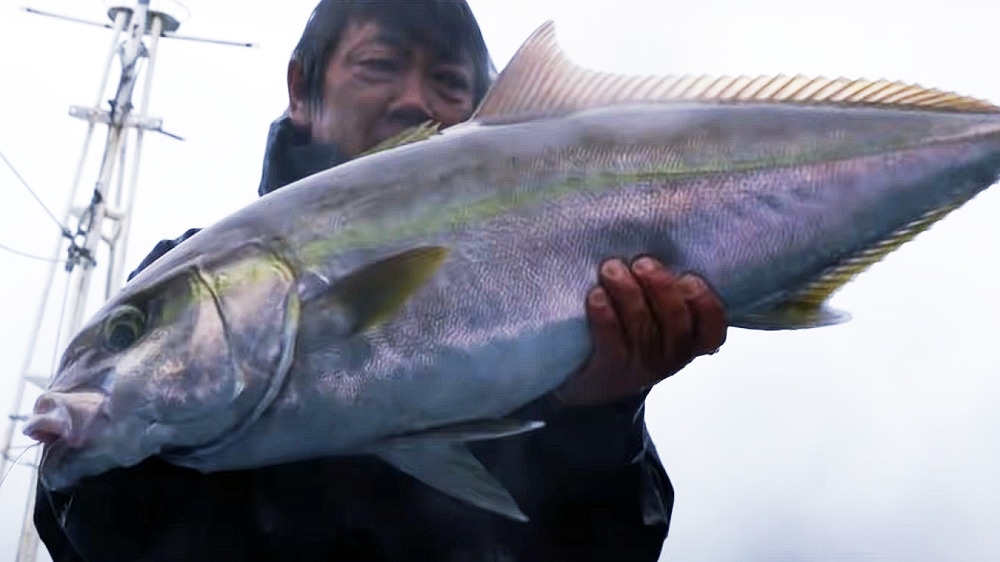 液晶が海中の様子を伝えてくれる。まさに見える機構のサポートでカンパチを捕獲。