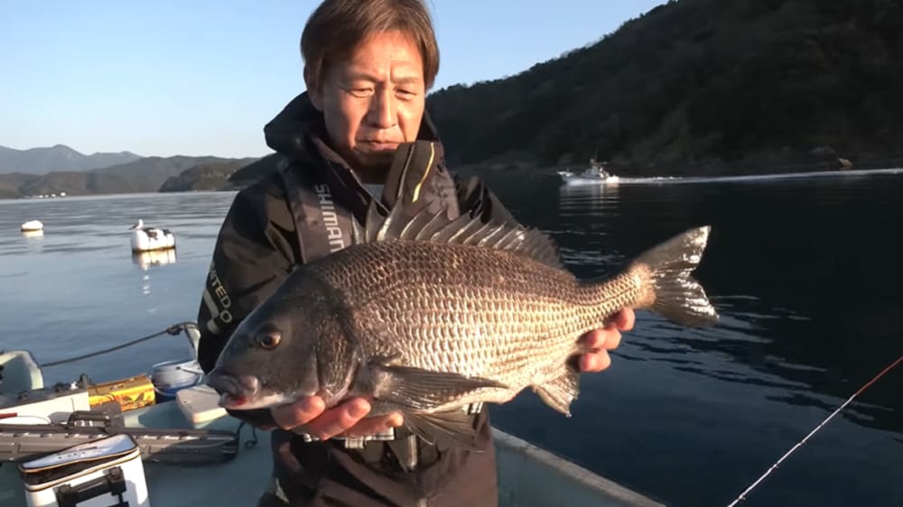 「竿でねじ伏せた感じですね」。スプールを押さえる手をスリップさせるほどの引きも難なくいなし、待望の年無しを捕獲した。