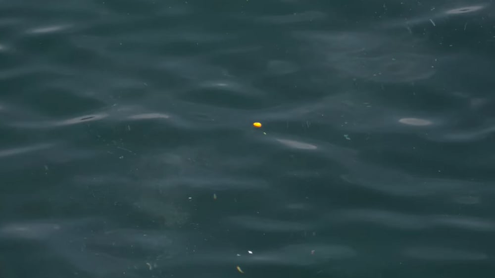 サシエが残っている場合、浅い釣り場ではマキエが底に溜まってマイナスに作用することがあるので、少しずつ撒くのがセオリー。
