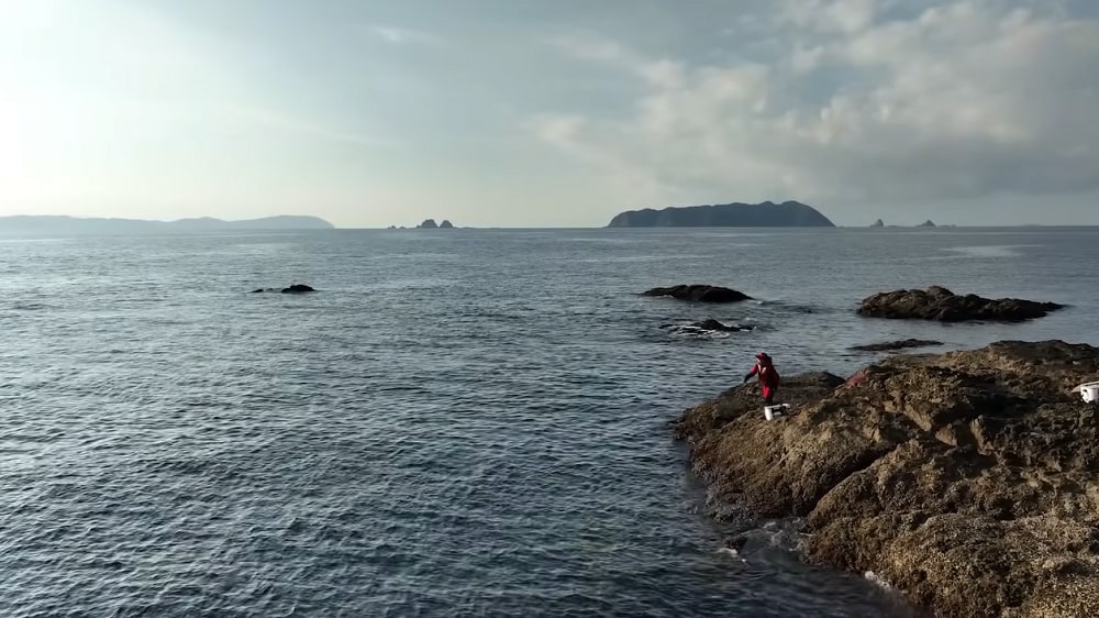 「なんて海は広いんだって思ったのをすごく覚えてます」。グレ釣りで初めて訪れた愛媛県宇和海の印象。そんな同じ海の磯に立つ山口さん。