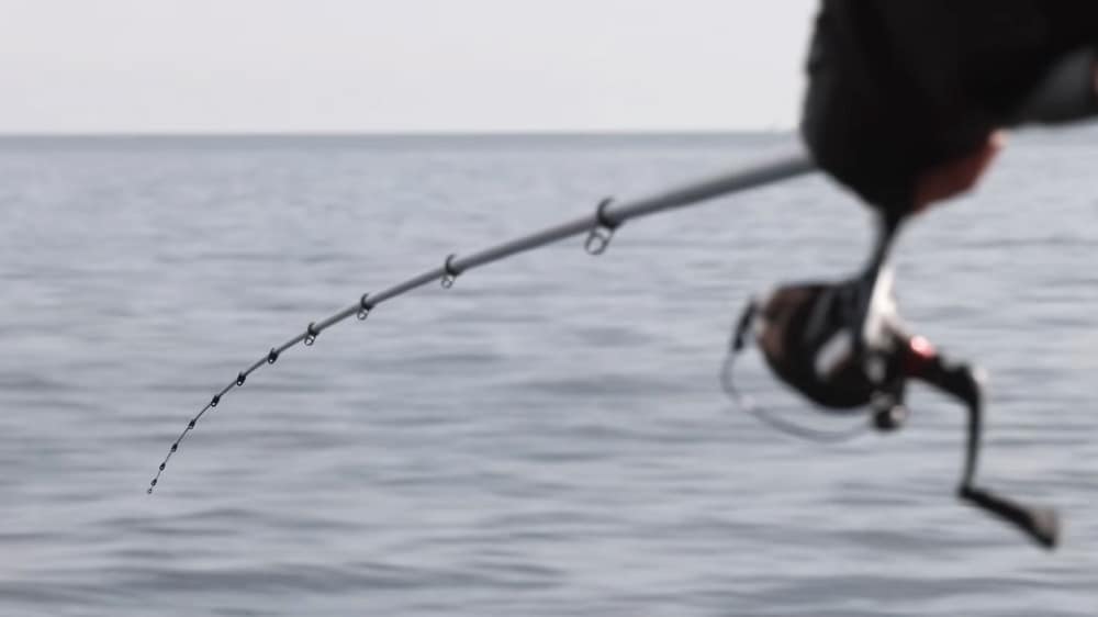 ラインのたるみで前アタリを取り、タナを把握することで次の1匹に繋げる「沈め釣り」をタックルの面からサポートするベイシス0.8-530。