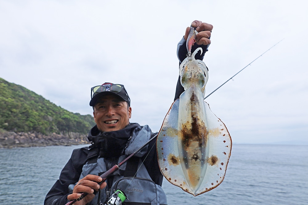 シルエットの濃さもイカの視覚にうったえる要素。アピールカラー＝派手な色とは限らないのが湯川流カラーセレクト。潮やボトムなど周りの環境に溶け込みやすい色とベイトを模した色はナチュラル系に分類し、ナイトゲームでシルエットが際立つカラーのオヨガセライドも日中はナチュラル系になる。