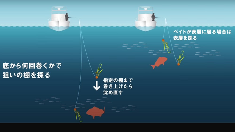 船長から指示があったタナを過ぎたら、また沈めて巻き上げる。