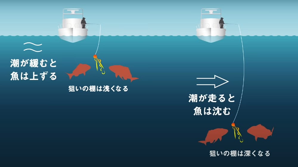 マダイの動きは、潮の影響でタナが変わることを頭に入れておこう。