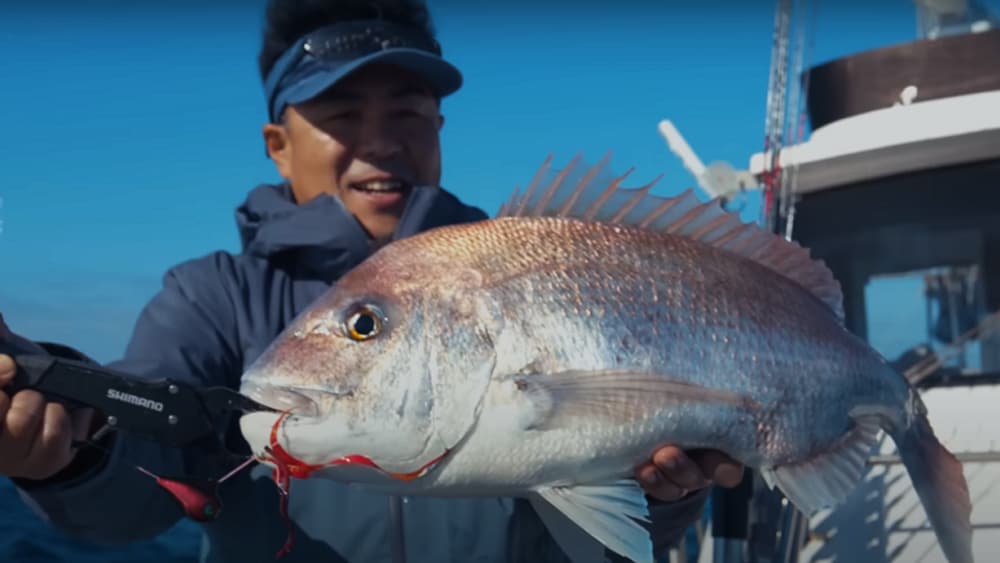 日本海、深場に強いブラックレッドにチェンジして大型マダイをキャッチ。