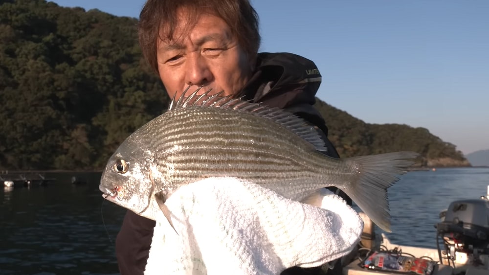 強力な引きのヘダイを2匹連続でキャッチ。