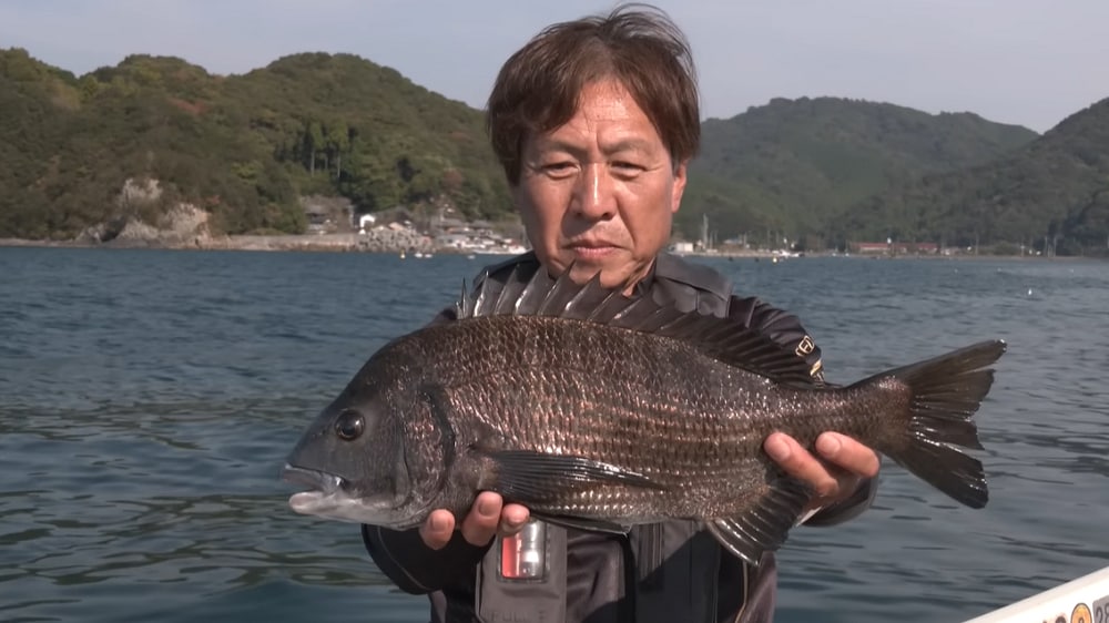 8:2で本命のチヌを連発。浅いレンジでのヒットに特有な強い横走りにも負けることはない。