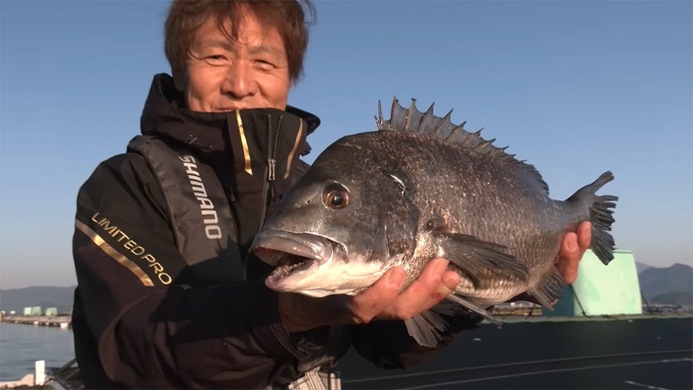 4つの穂先でかかり釣り筏攻略in宿毛 山本太郎