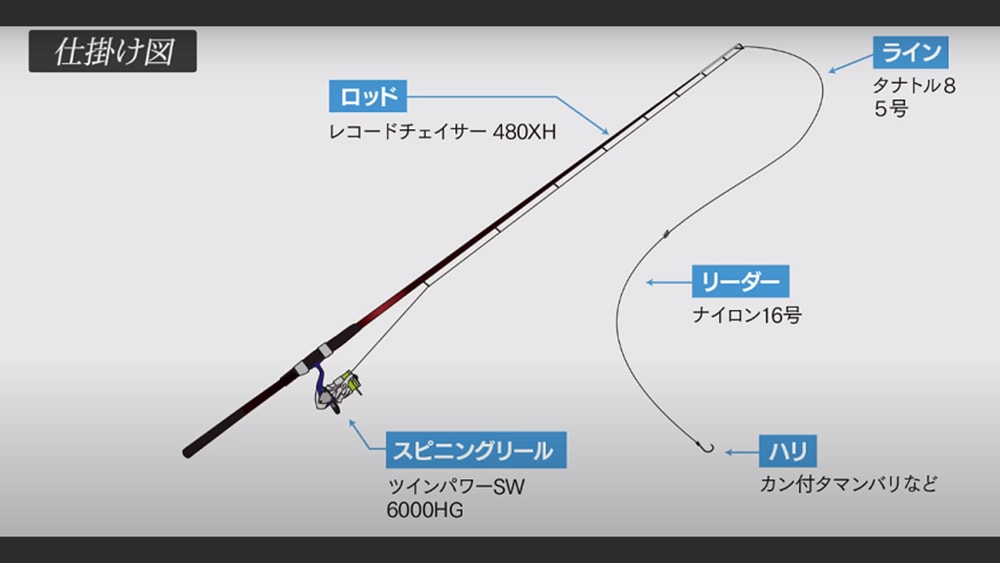 水深が浅いのでオモリを使わず、エビエサのフカセ釣りで狙うことにした。