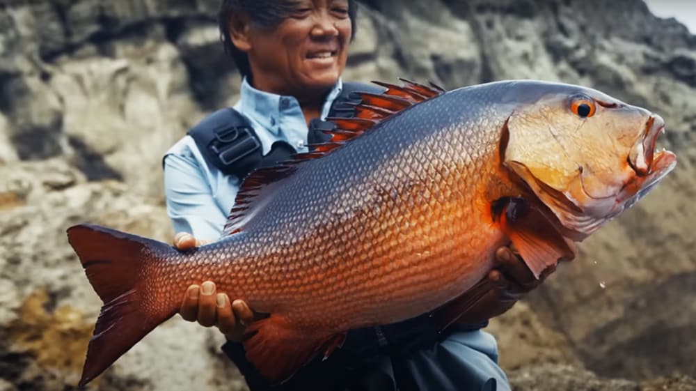 レコードチェイサーで大物を獲る×高橋哲也 in石垣島・波照間島