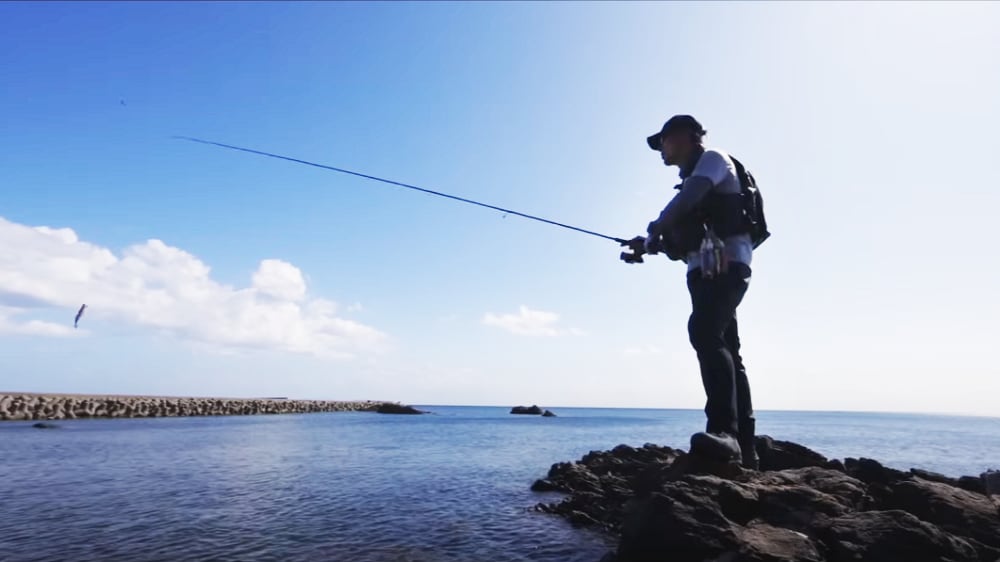 エギングロッドの汎用性 セフィアBBで様々な魚種を釣る×湯川マサタカ | SHIMANO シマノ