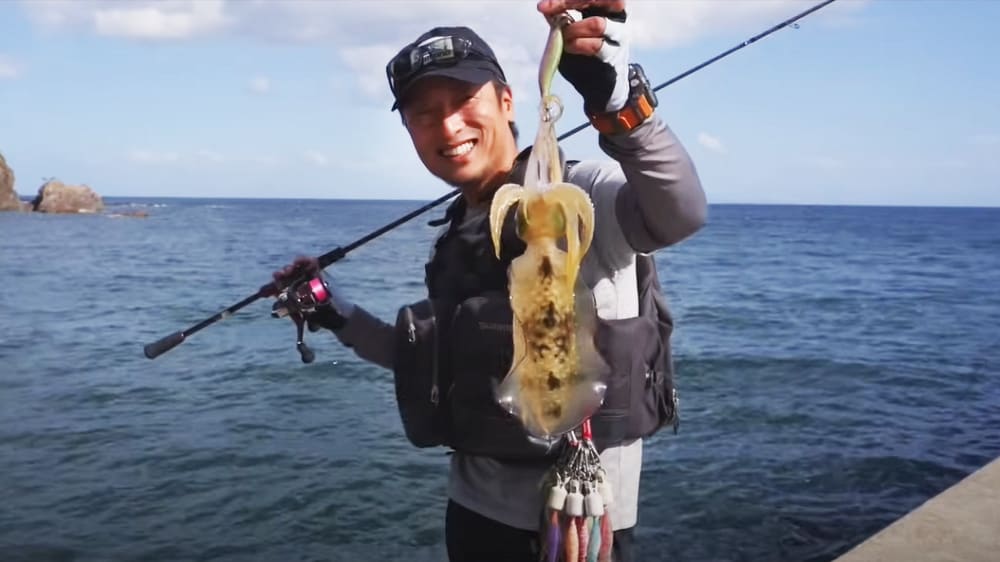 エギングロッドの汎用性 セフィアBBで様々な魚種を釣る×湯川マサタカ | SHIMANO シマノ