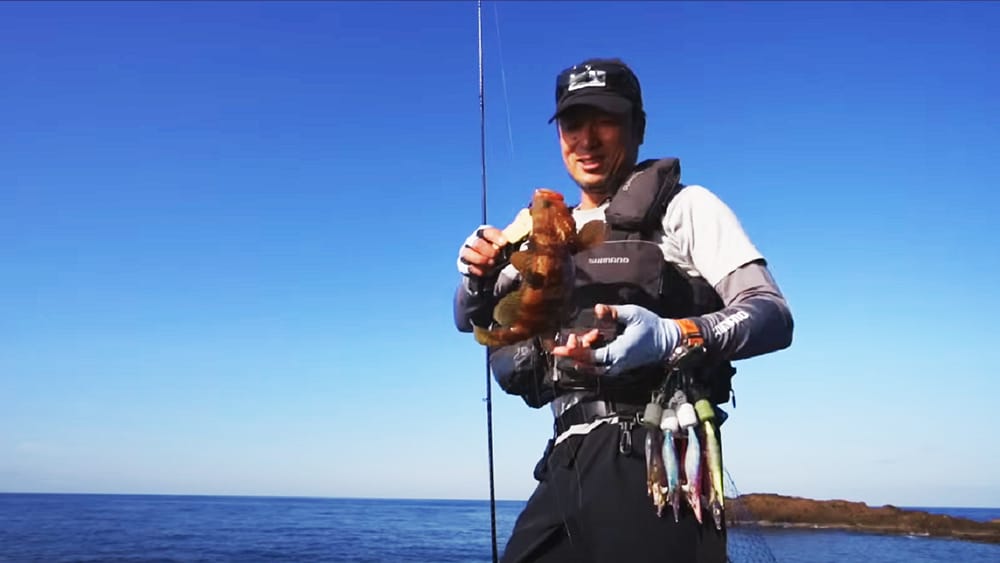 エギングロッドの汎用性 セフィアBBで様々な魚種を釣る×湯川マサタカ