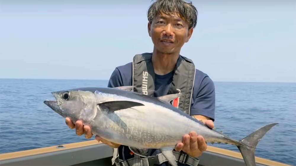 最後はコシナガマグロのヒットで終了。田代さんお気に入りのオシアプラッガー ライトコンセプトは、カツオ狙いのメインロッドだ。