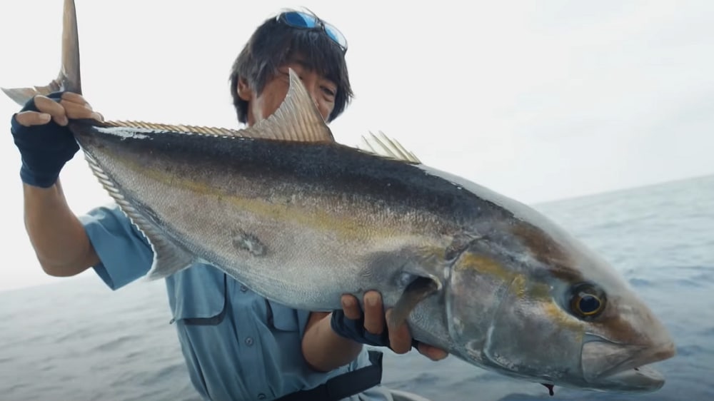 2本目のカンパチ。バランスの取れたタックルによる無駄のない誘いで口を使わせた。