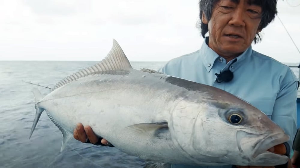 ボトムに到達する前からムロアジの異変を感じていたという3本目は、感度が釣果に影響する好例。小型なのですぐにリリース。