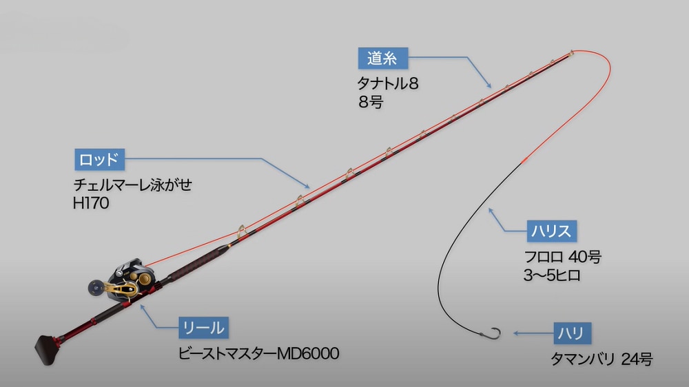 タックル（仕掛け）は前日から三又サルカンとオモリを抜いたもの。相棒も変わらずビーストマスターMD6000だ。