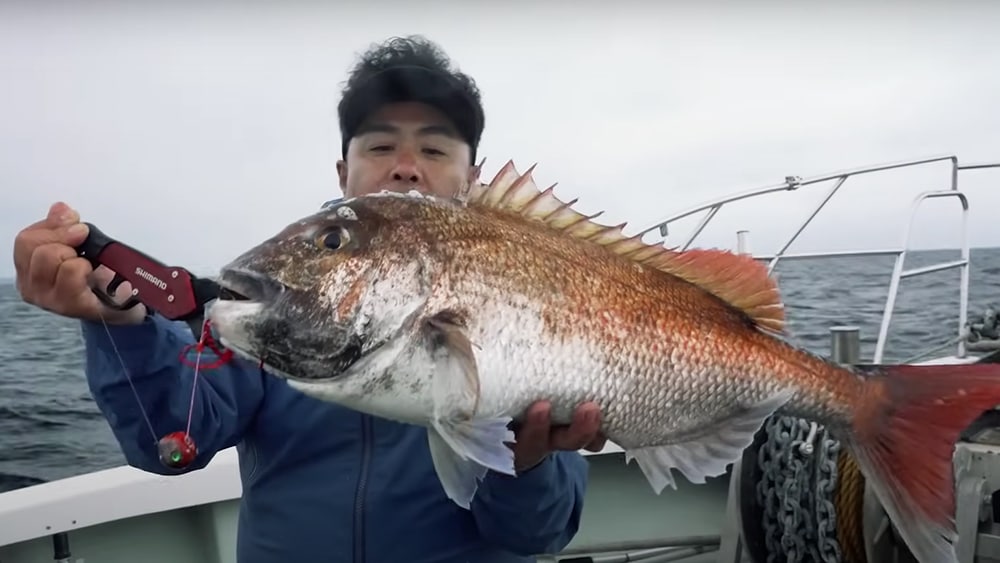 最終的には、ロッドも変えることで2匹のマダイの釣果に結び付いた。どちらも三国らしい良型マダイだった。